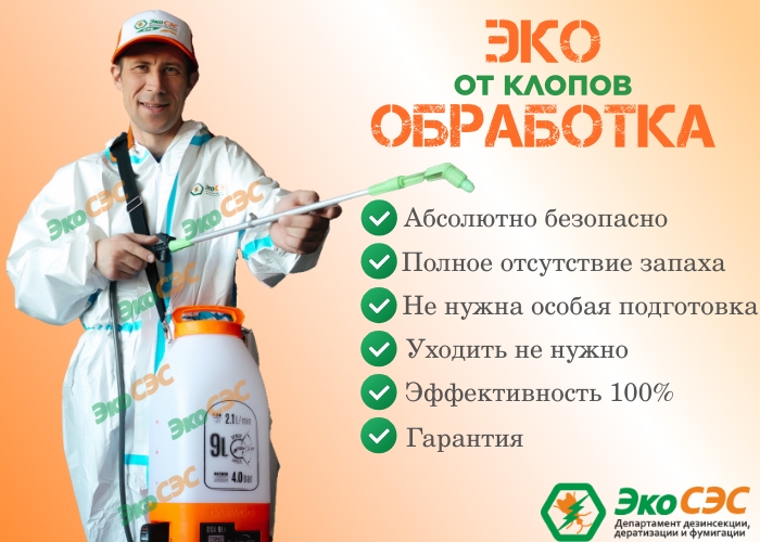 Обработка от клопов порошком